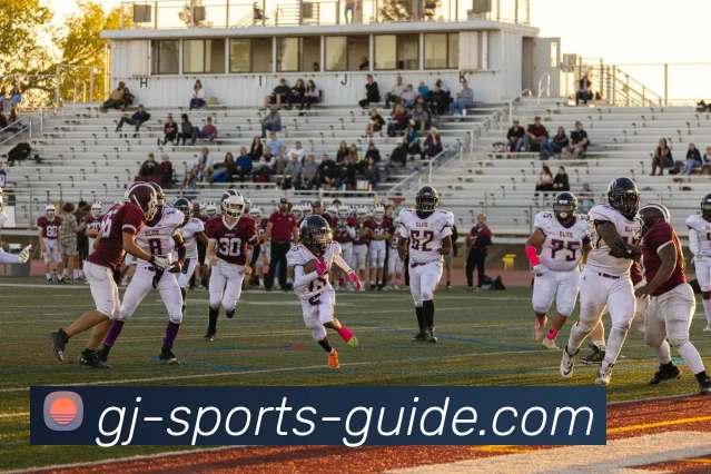 冠竞体育官网APP 封面图